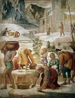 The Israelites gathering Manna, 1509-1510