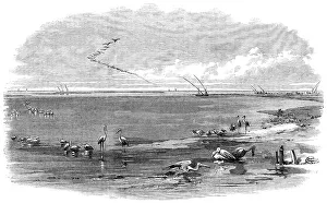 Wading Bird Prints: The Isthmus of Suez Maritime Canal: Lake Menzaleh, 1869. Creator: Unknown