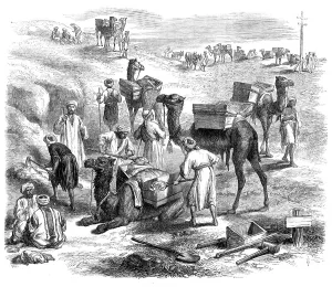Loading Prints: The Isthmus of Suez Maritime Canal: workmen loading dromedaries, 1869. Creator: Unknown