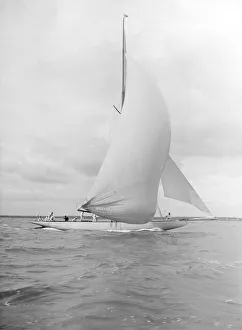 Istria sailing downwind under spinnaker, 1912. Creator: Kirk & Sons of Cowes