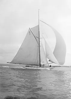 Allom Gallery: Istria sailing downwind under spinnaker, 1912. Creator: Kirk & Sons of Cowes