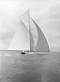 Cutter Gallery: Istria sailing downwind under spinnaker, viewed from stern, 1912