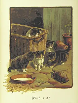 Marchioness Of Prints: What is it?, 1893. Creator: Fannie Moody