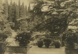 Tuscan Prints: Italy, Villa Bel Riposo, Fiesole i