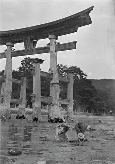 Natural Phenomena Collection: Itsukushima Shinto Shrine, Japan, 1908. Creator: Arnold Genthe