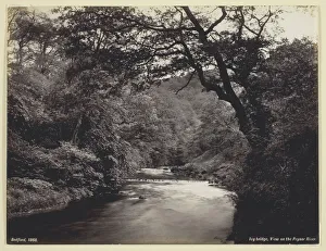 Ivy Bridge, View on the Prysor River, 1860/94. Creator: Francis Bedford Ivy Bridge, View on the Prysor River, 1860/94. Creator: Francis Bedford