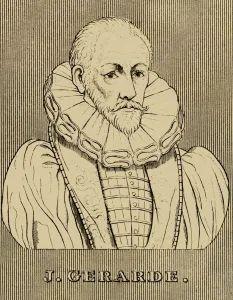 Alternative Medicine Gallery: J. Gerarde, (c1545-1612), 1830. Creator: Unknown