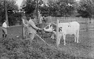 Mccormack John Prints: J. McCormack, between c1915 and c1920. Creator: Bain News Service