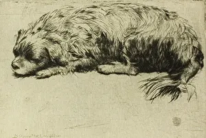 Drypoint Collection: Jack, 1902. Creator: Donald Shaw MacLaughlan