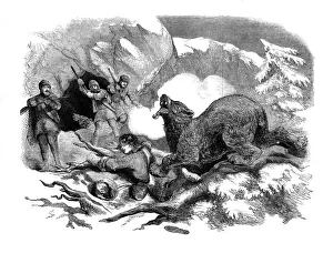Ferocious Prints: Jack Curlings narrow escape from a ferocious bear, 1855