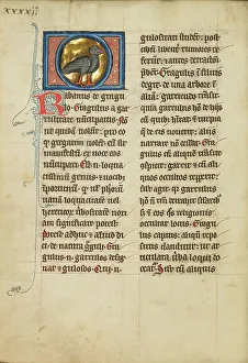 Bestiary Prints: A Jackdaw; De Natura Avium; De Pastoribus et Ovibus, 1277 or after. Creator: Unknown