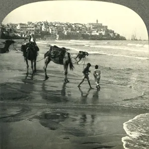 Waters Edge Prints: Jaffa, the Joppa of Bible Times, Palestine, c1930s. Creator: Unknown