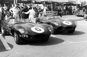 Racing Car Gallery: Jaguar D types in the paddock, RAC Tourist Trophy, Goodwood, Sussex, 1958