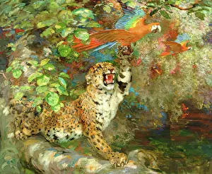 Tropical Prints: A Jaguar and Macaws (or Just Missed or On The Banks of The Orinoco), 1900-1924