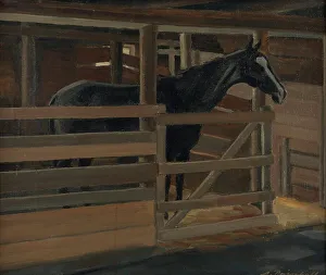 Stables Prints: Jallu the black horse in his stall, 1929. Creator: Alexander Paischeff