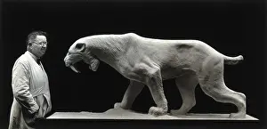 Big Cat Prints: James W Lytle. Creator: Unknown
