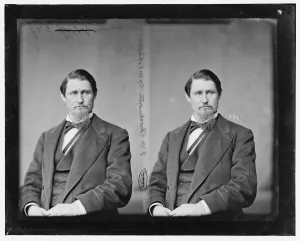 James Webb Throckmorton of Texas, 1865-1880. Creator: Unknown