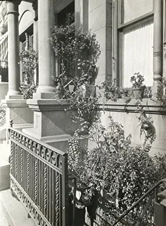 Plant Pot Prints: Janitor apartment. 137 East 30th Street