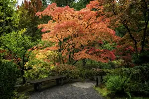 Benches Gallery: Japanese Gardens. Creator: Joshua Johnston