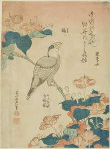 Japanese Grosbeak and Marvel of Peru (Ikaru, oshiroi no hana), from an untitled series...c. 1834. Creator: Hokusai