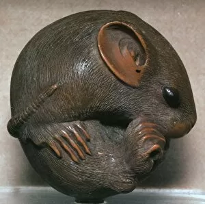 Curled Up Gallery: Japanese Netsuke of a rat, 19th century