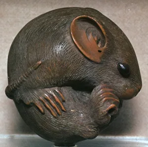 Curled Up Gallery: Japanese Netsuke of a rat, 19th century