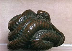 Curled Up Gallery: Japanese Netsuke of a snake, 19th century