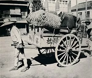 Hand Cart Gallery: The Japanese are not slave to possessions. Most can move house by hand-cart, c1900, (1921)