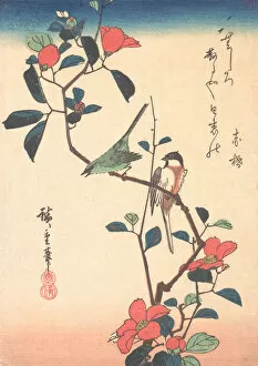 Ando Utagawa Hiroshige Collection: Japanese White-eye and Titmouse on a Camellia Branch, ca. 1840. ca. 1840. Creator: Ando Hiroshige