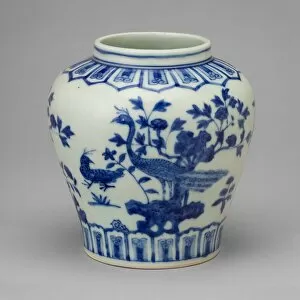 Jar with Peacocks, Garden Rock, and Foliage, Ming dynasty