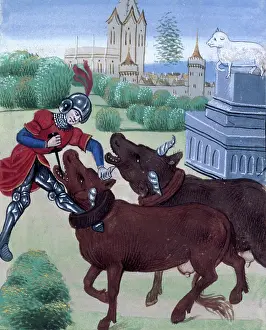 Plough Prints: Jason yokes the oxen in his attempt to acquire the Golden Fleece