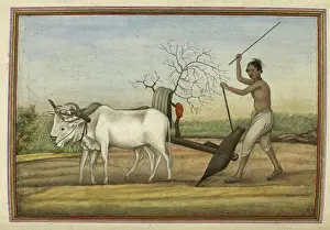 Plough Prints: 'Jat', a numerous tribe spread over much of north, 1825. Creator: Anon
