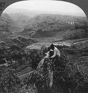 Images Dated 26th January 2008: Java, Indonesia, c1900s
