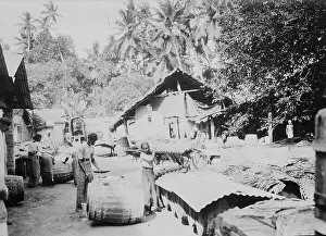 Java Indonesia Prints: Java, shipping Plumbago, between c1915 and c1920. Creator: Bain News Service