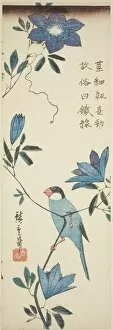 Java sparrow and clematis, 1830s. Creator: Ando Hiroshige