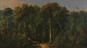 Camouflaged Collection: Javanese Jungle, ca. 1860. Creator: Raden Saleh