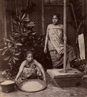 Rice Gallery: Javanese Women Preparing Rice, 1860s-70s. Creator: Unknown