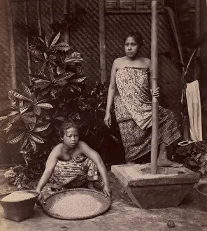 Preparation Prints: Javanese Women Preparing Rice, 1860s-70s. Creator: Unknown