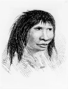 Jemmy Button, the Fuegian adopted by Fitzroys expedition, in 1834 (1839) Jemmy Button, the Fuegian adopted by Fitzroys expedition, in 1834 (1839)
