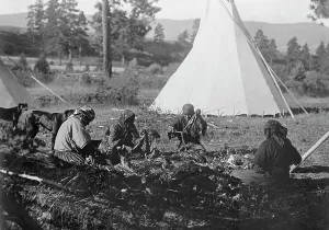 Flathead Prints: Jerking meat-Flathead, c1910. Creator: Edward Sheriff Curtis