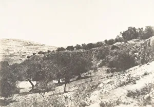 Olive Trees Prints: Jerusalem, Vue generale de la Vallee de Hinnom, 1854