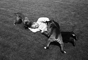 John Surtees playing with his pet dogs at home 1966. Creator: Unknown