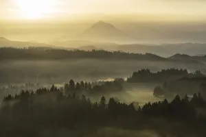 Distant Collection: Jonsrud Viewpoint. Creator: Joshua Johnston
