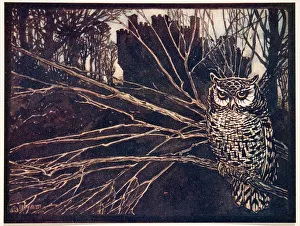 Childrens Illustration Gallery: Jorinda and Joringel, 1909