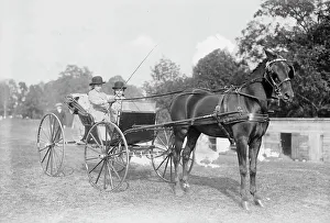 Pony And Trap Prints: Josephine Eliz. Jenks driving Frills, between c1910 and c1915. Creator: Bain News Service