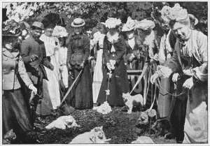 Lead Prints: Judging cats at the Royal Botanic Gardens show, Kew, London, c1900 (1901)