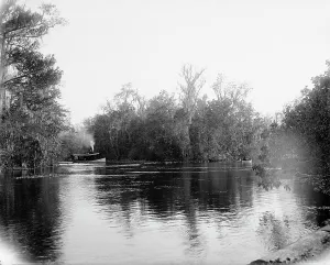 Rivers Prints: Junction of the Ocklawaha [sic] and Silver Springs rivers, Florida, 1902. Creator: Unknown