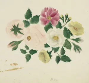 Mary Altha Nims American Prints: June Roses. Creator: Mary Altha Nims (American, 1817-1907)
