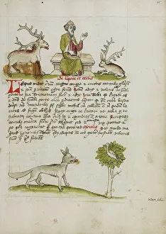 Canine Prints: Jupiter as a Elderly Bearded Man Enthroned between a Stag and a Hare