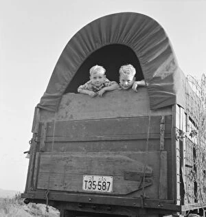 Migrant Collection: Just arrived from Kansas, near Merrill, Klamath County, Oregon, 1939. Creator: Dorothea Lange